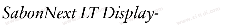 SabonNext LT Display字体转换